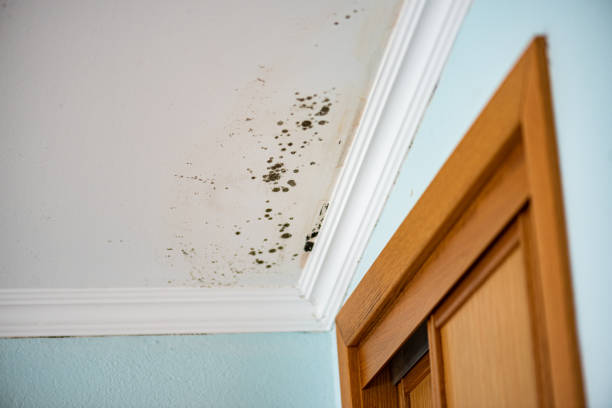 Water Damage Restoration in Lombard, IL