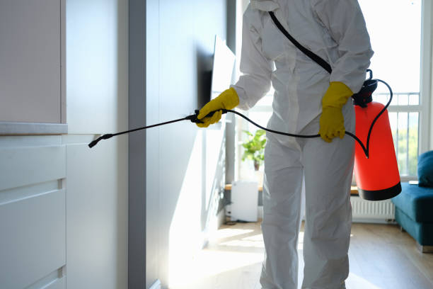 Professional Mold Removal in Lombard, IL