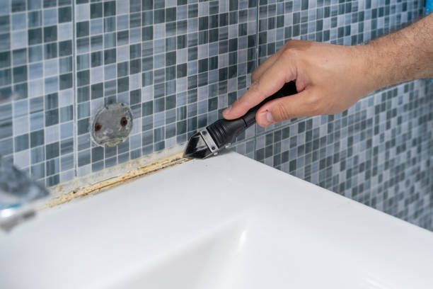 Best Mold Damage Repair  in Lombard, IL