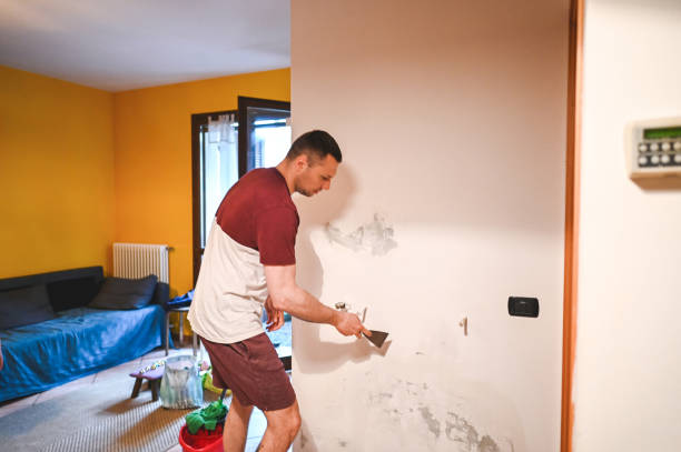 Best Mold Removal Near Me  in Lombard, IL